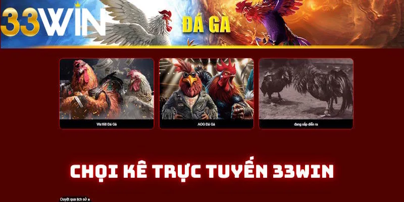 Đá gà 33Win khiến bạn không thể rời mắt